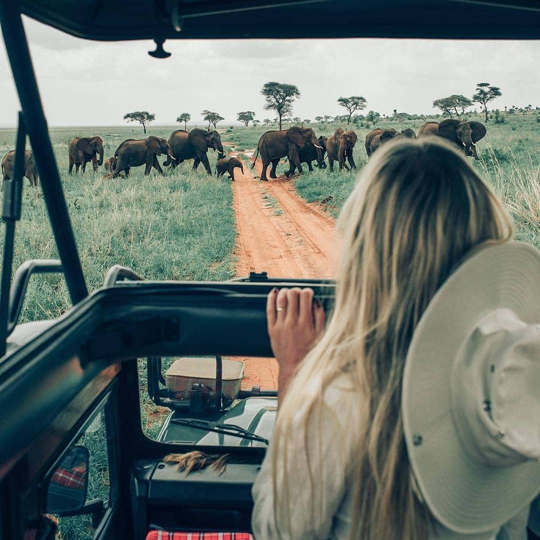 93859612_131549375119227_4533577532728934400_n