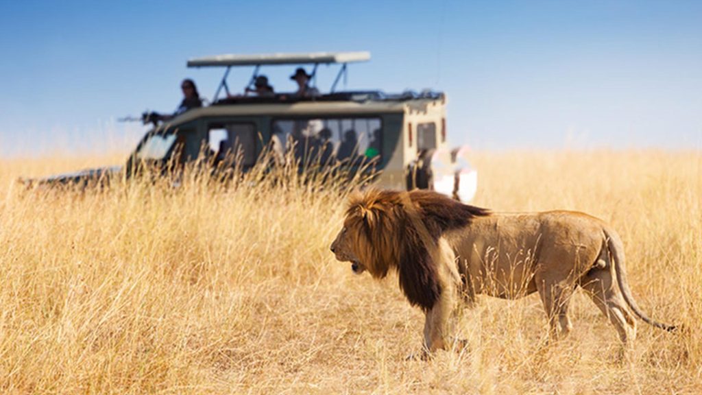 7-Day Tanzania Safari