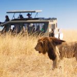 7-Day Tanzania Safari