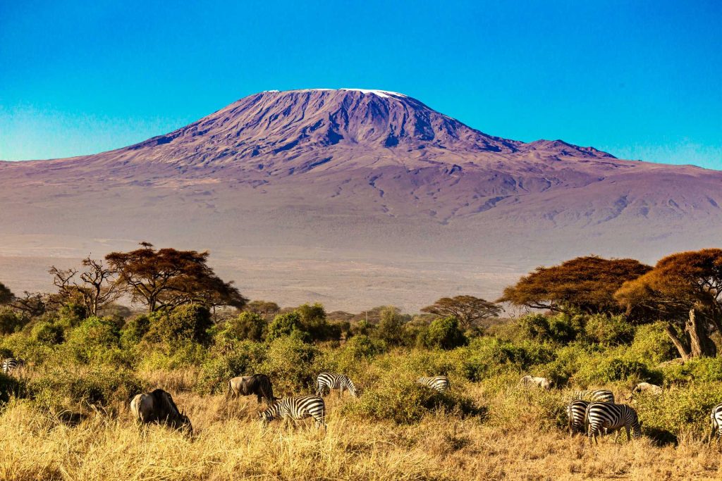 Kilimanjaro National Park