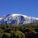 14-Day Kilimanjaro Climb & Safari