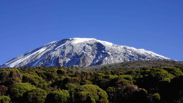 14-Day Kilimanjaro Climb & Safari