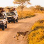 6 Days Tanzania Safari