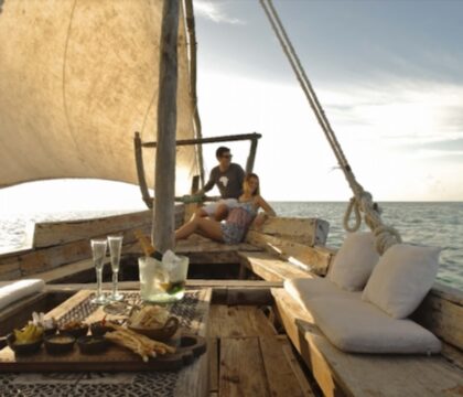 safari family and zanzibar