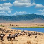 3-Day Tarangire & Ngorongoro Wildlife Escape